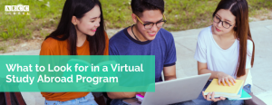Best Virtual Study Program